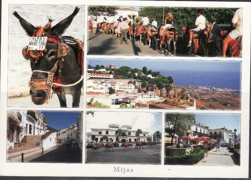 44116 Ezel karavaan in Mijas, Envoi