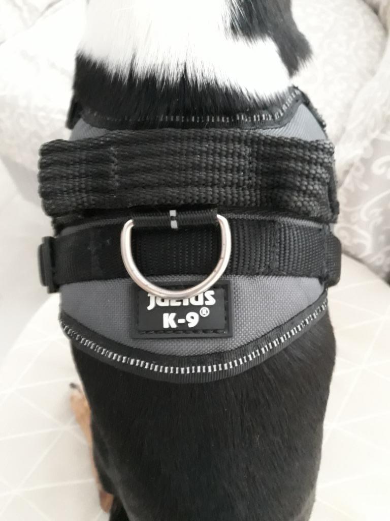 Harnais couleur gris foncé et noir de marque Julius K-9, Ophalen, Nieuw, Hondenriem-accessoire