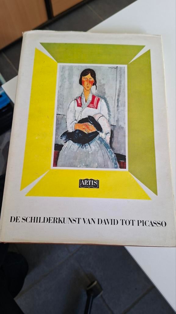 Boek Artis Historia: De schilderkunst van David tot Picasso, Boeken, Ophalen, Gelezen