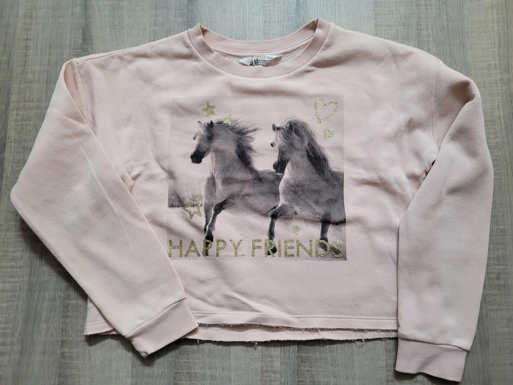 Sweater H&M paarden roze maat 146 / 152, Meisje, Trui of Vest, Ophalen of Verzenden, Zo goed als nieuw