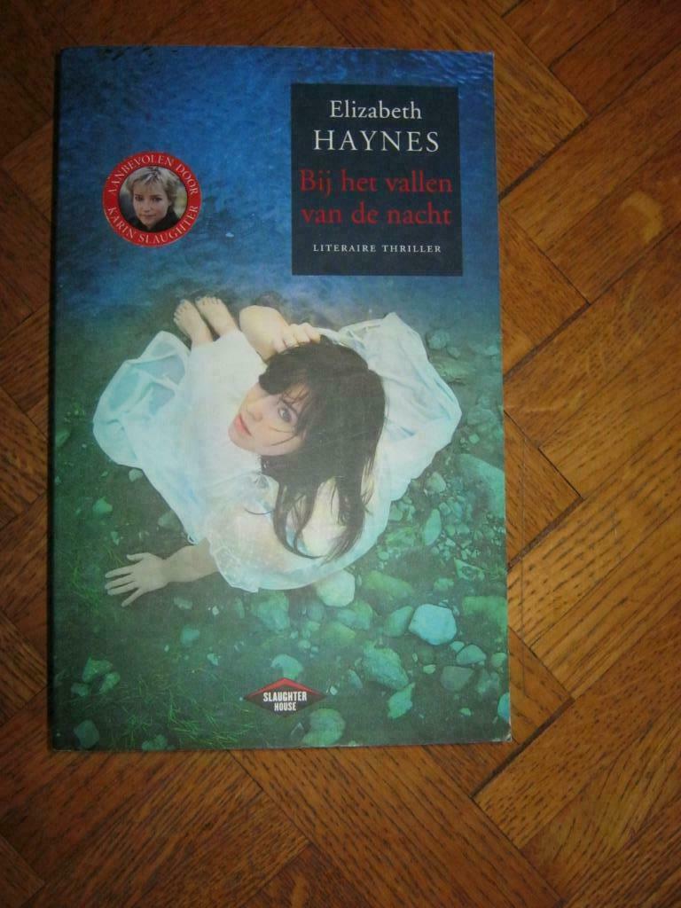 Elisabeth Haynes: Bij het vallen van de nacht, Livres, Thrillers, Utilisé, Enlèvement ou Envoi