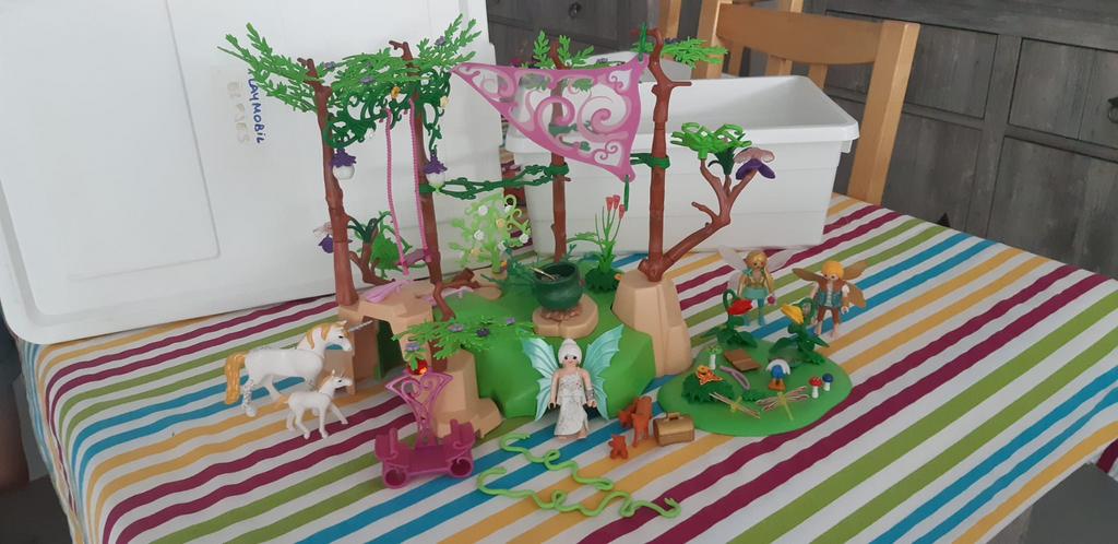 playmobil magische feeentuin, Kinderen en Baby's, Speelgoed | Playmobil, Ophalen, Zo goed als nieuw