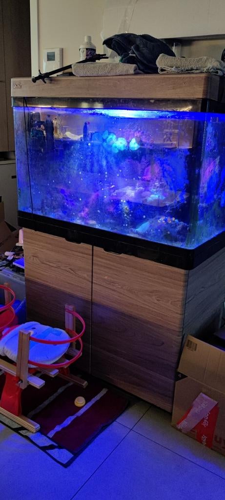 Red sea 250 met 2 clown vissen en x aantal coralen25 kg rock, Dieren en Toebehoren, Ophalen