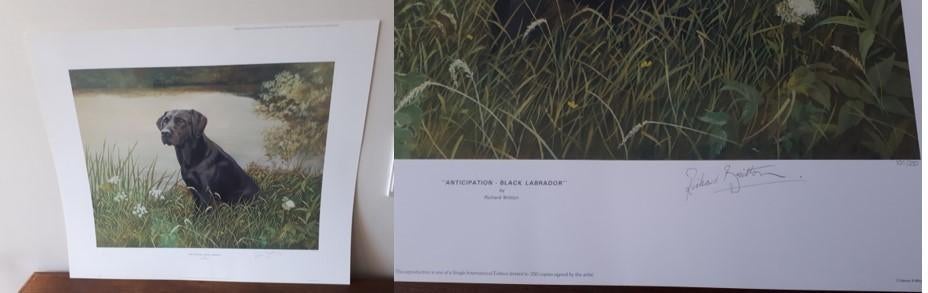 litho Black labrador, Antiek en Kunst, Ophalen of Verzenden