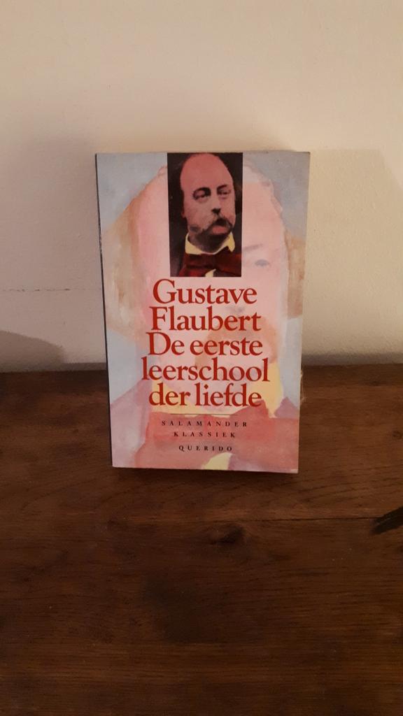 Gustave Flaubert - De eerste leerschool der liefde, Ophalen of Verzenden, Zo goed als nieuw, Gustave Flaubert