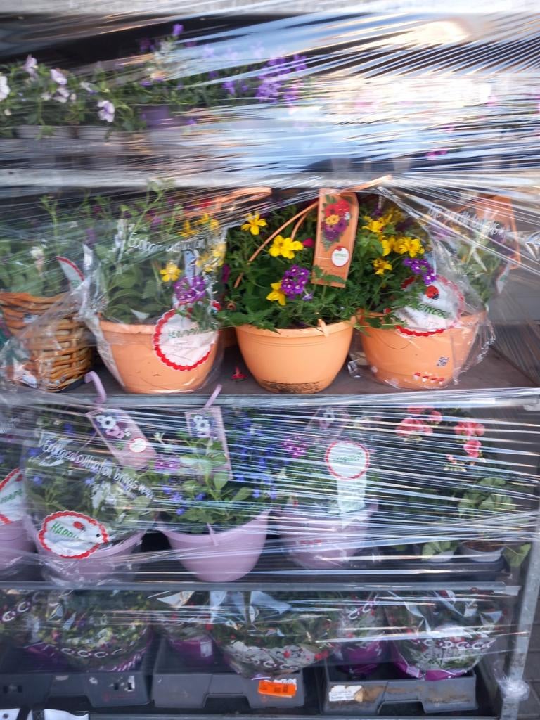 Vervoer gezocht voor 2maal per week bloemen van Brussel naar, Ophalen of Verzenden