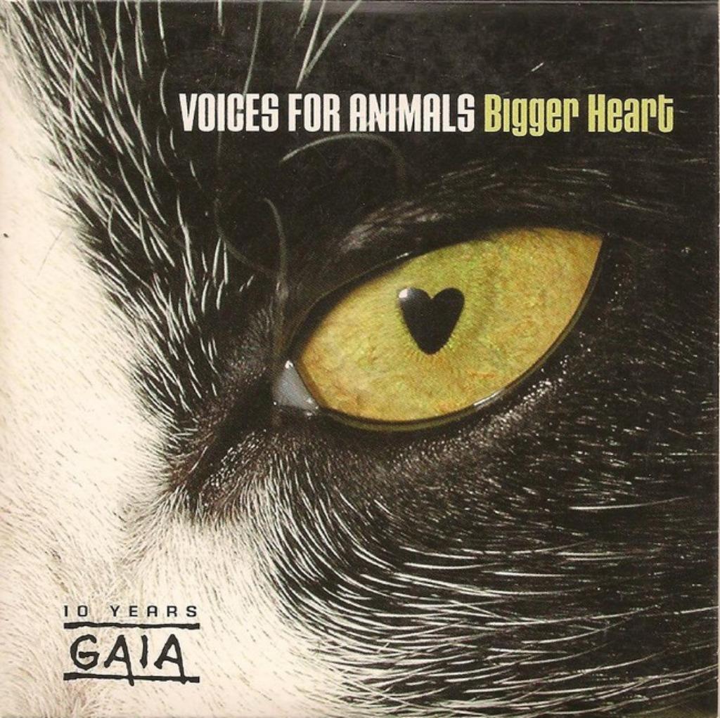 VOICES FOR ANIMALS - BIGGER HEART (10 YEARS GAIA) SOULSISTER, 1 single, Verzenden, Gebruikt, Pop