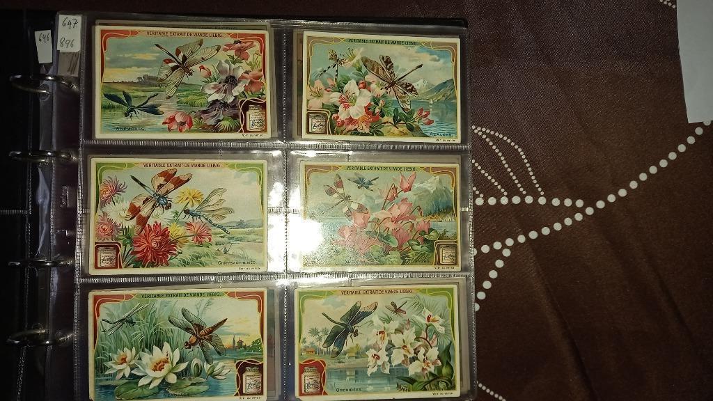 Liebig S nr 896 : Fleurs et libelles, Verzamelen, Ophalen of Verzenden, Gebruikt, Overige typen