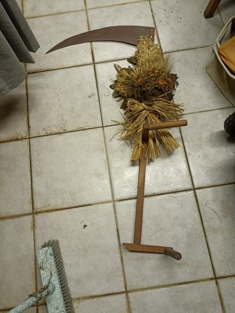 Zeis met droogbloemen, Ophalen, Gebruikt