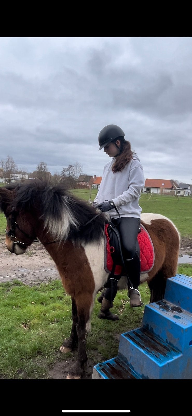 Verzorg paard gezocht / ruiter aangeboden