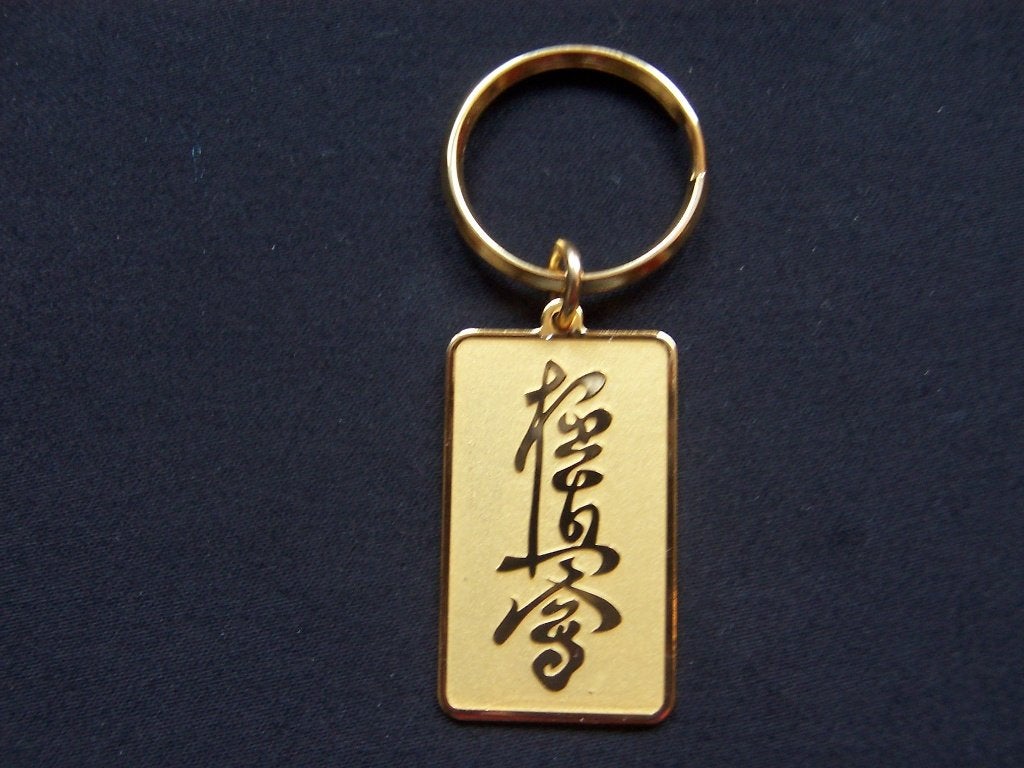 Porte-clés kyokushin karaté kanji/kanku (métal), Sports & Fitness, Enlèvement ou Envoi, Neuf, Karaté
