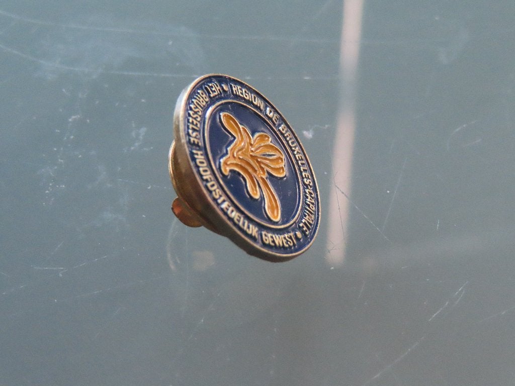 PIN Het Brussels Hoofdstedelijk Gewest, Ophalen of Verzenden, Zo goed als nieuw, Stad of Land, Speldje of Pin