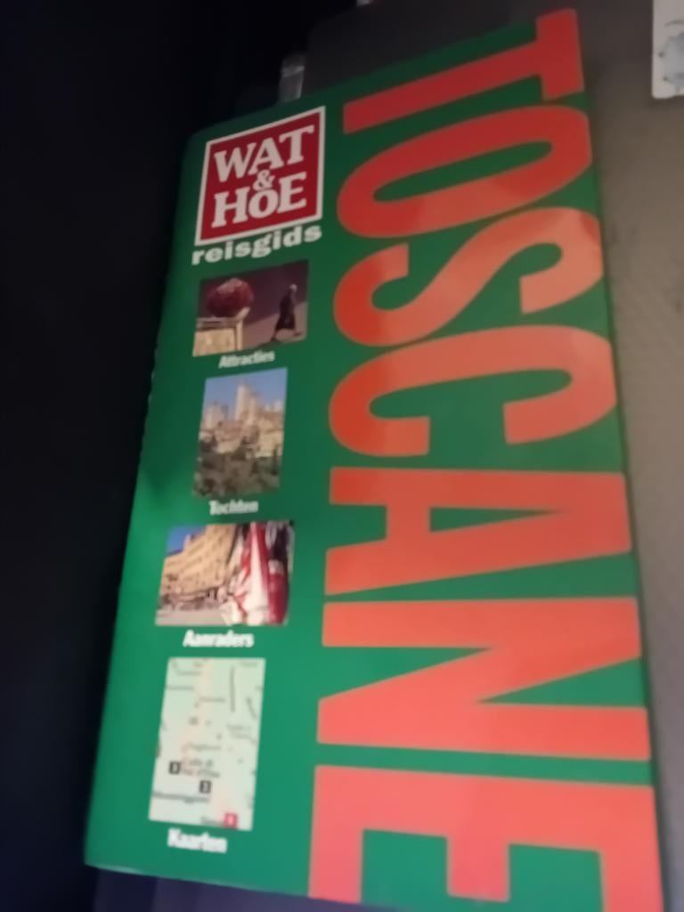 Wat en hoe reisgids toscane, Boeken, Ophalen of Verzenden