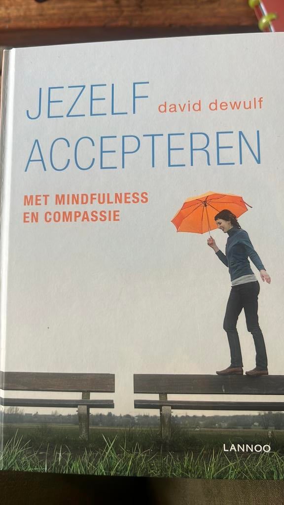 David Dewulf - Jezelf accepteren incl, Boeken, Ophalen of Verzenden, David Dewulf