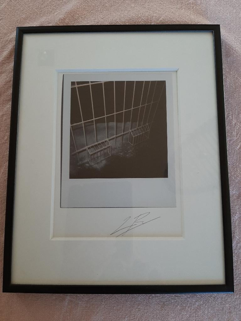 Luc Tuymans ‘Within’ (gesigneerd), Ophalen of Verzenden