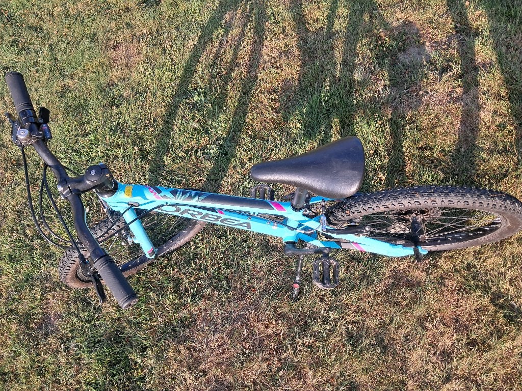 VTT enfant Orbea MX20, Vélos & Vélomoteurs, Frein sur jante, 16 à 20 pouces, Enlèvement, Utilisé