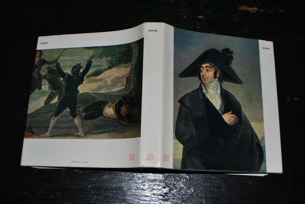 Pierre GASSIER GOYA EDITIONS ALBERT SKIRA 1955 RARE, Gelezen, Pierre GASSIER, Ophalen of Verzenden, Schilder- en Tekenkunst