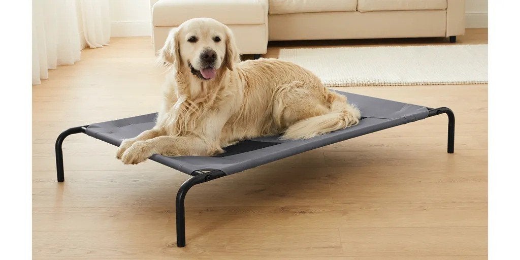 Hondenligbed campingbed hond NIEUW, Dieren en Toebehoren, Honden-accessoires, Nieuw, Hondenmand, Verzenden