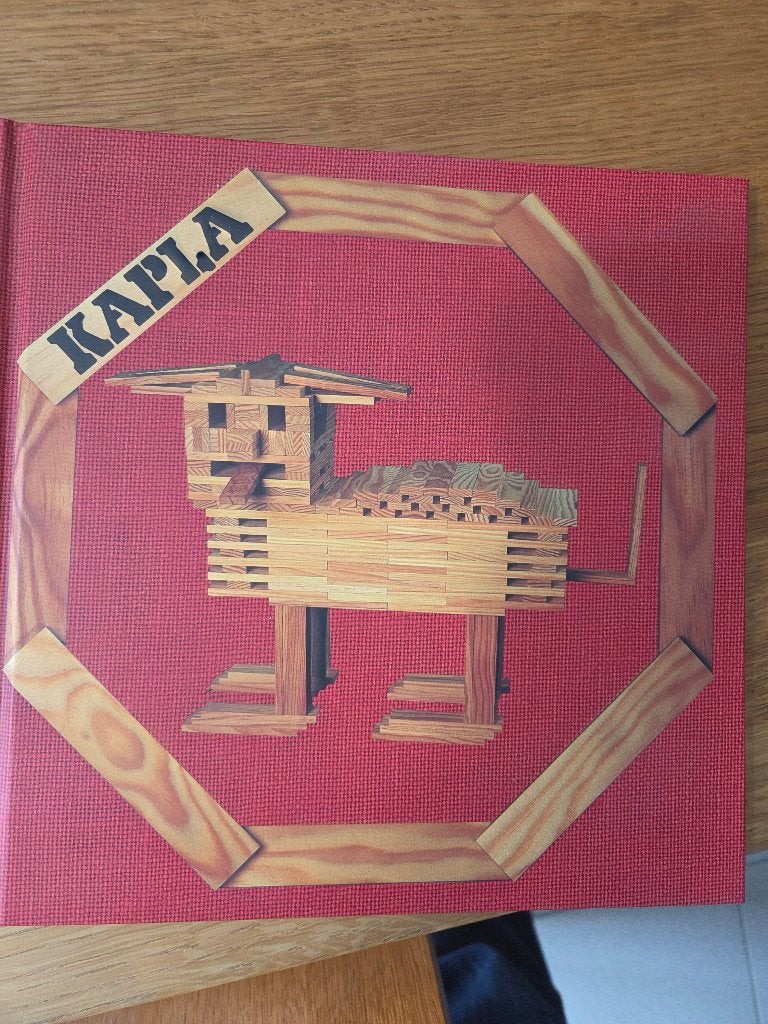 Boek en instructies en ideeen met kapla blokken, Enlèvement ou Envoi, Neuf, Autres types