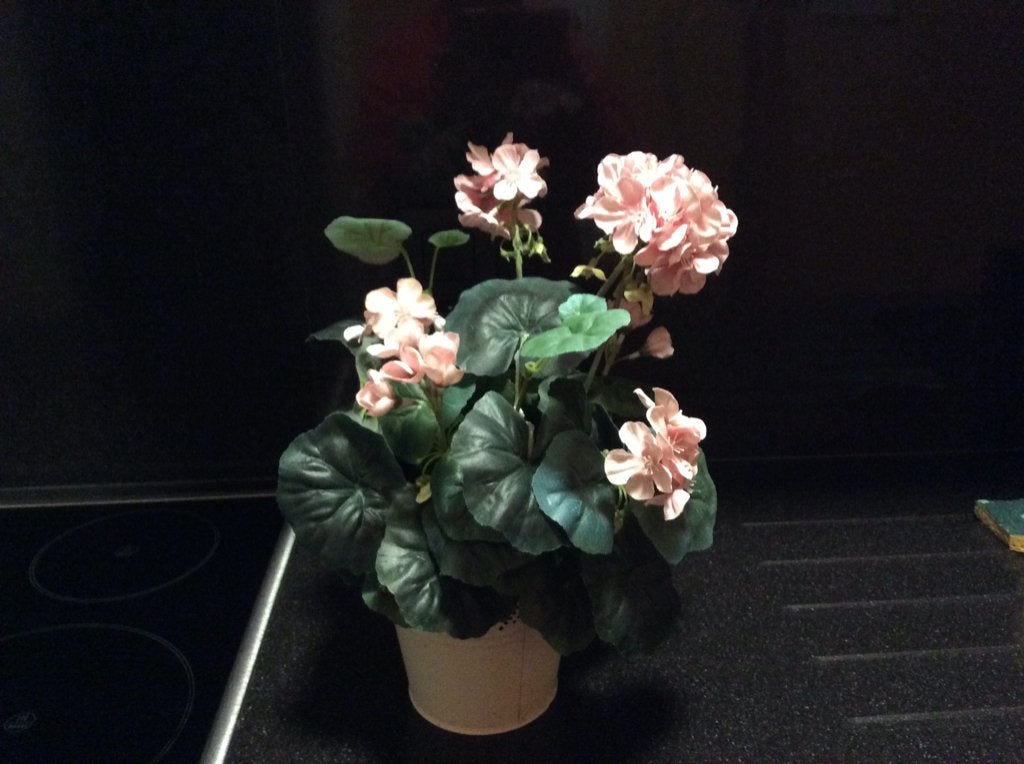 Geranium roze in Cash - pot   ( kunstof ), Rose, Comme neuf, Plastique, Fleurs artificielles incluses
