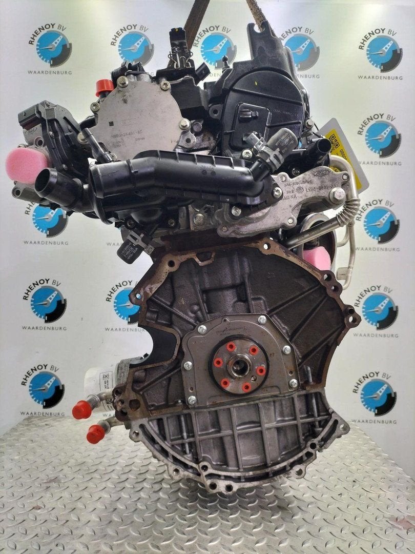FORD FIESTA ACTIVE MOTOR 2020, Ophalen of Verzenden, Gebruikt, Stiba lid