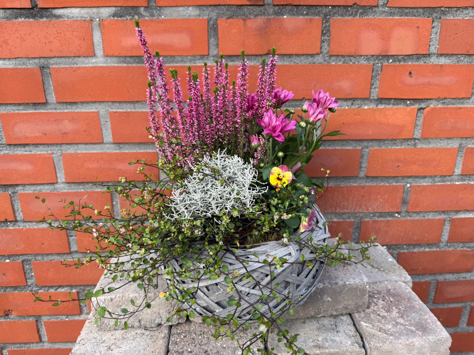 Opgevulde plantenmand, Ophalen