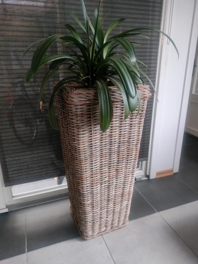 Rieten mand, Tuin en Terras, Ophalen