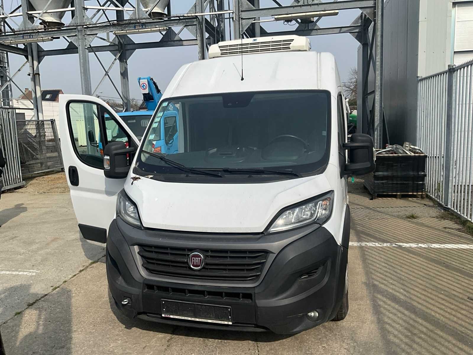 Fiat 250 camion frigorifère 2020, Autres modèles, Achat, Euro 6, Entreprise