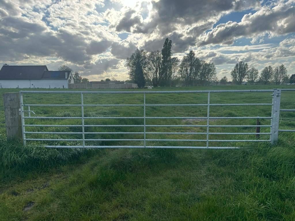 Gegalvaniseerde weidepoorten, Animaux & Accessoires, Moutons, Chèvres & Cochons