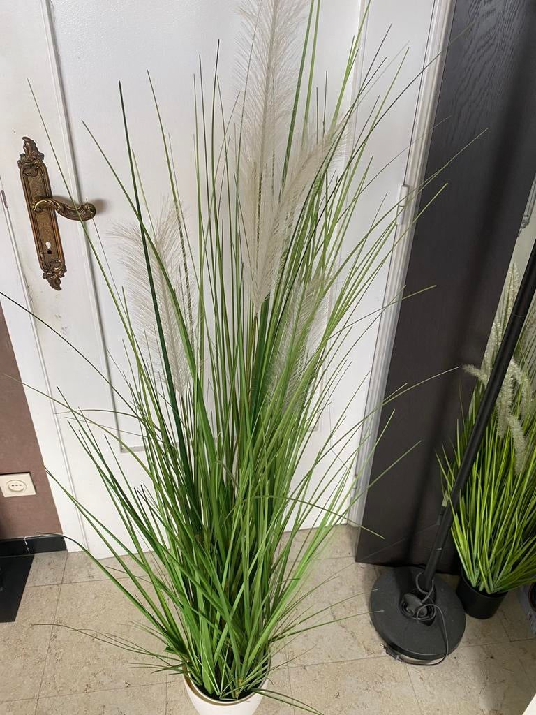 Kunstplant nieuw, Tuin en Terras, Ophalen