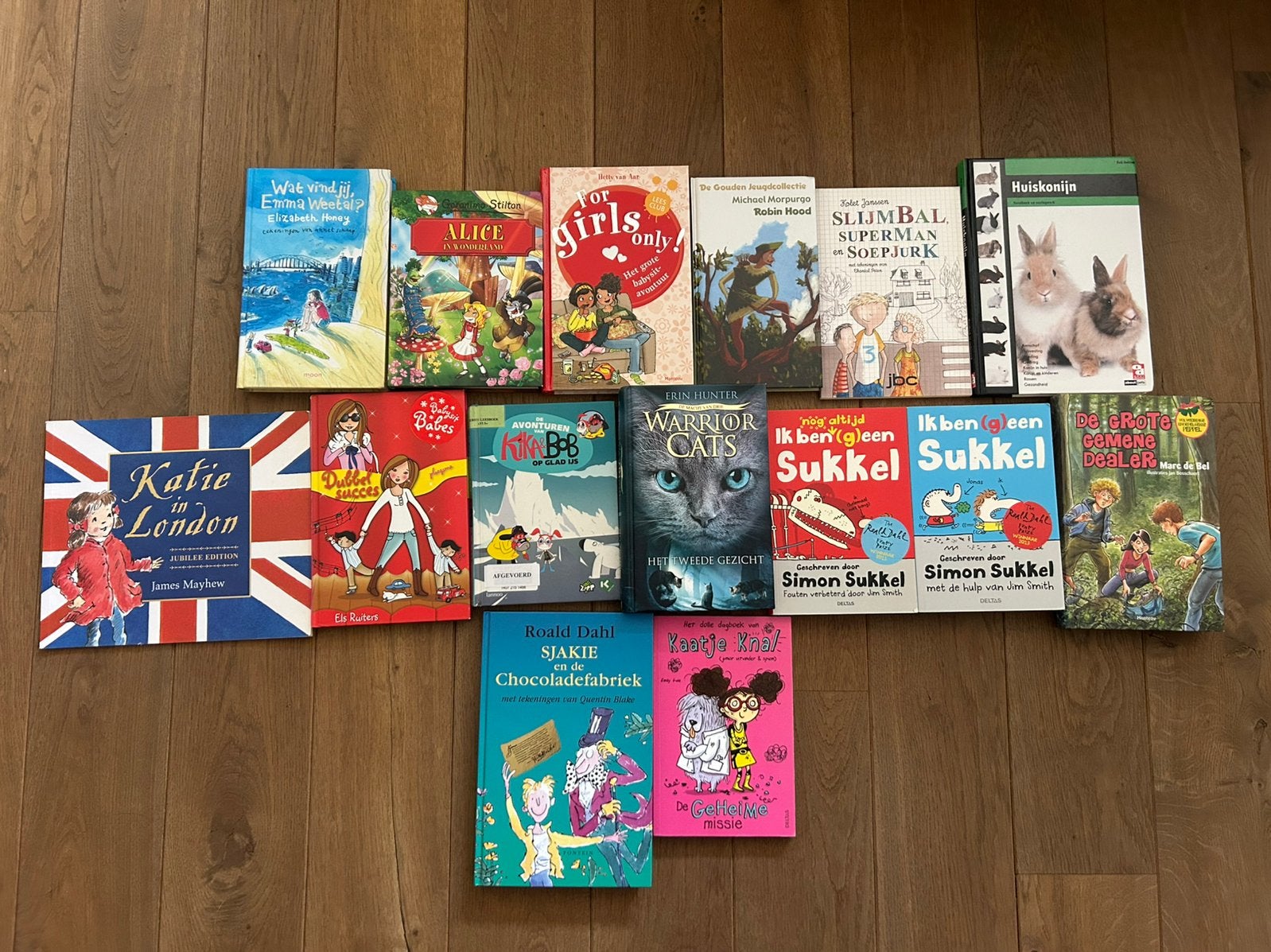 Kinderboeken/tienerboeken, Boeken, Kinderboeken | Jeugd | 10 tot 12 jaar, Ophalen of Verzenden, Zo goed als nieuw, Fictie