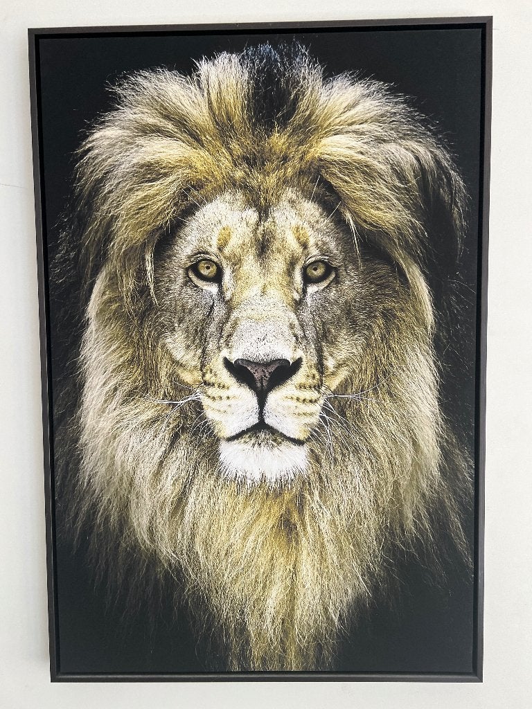 Canvas leeuw, Huis en Inrichting, Ophalen, Zo goed als nieuw