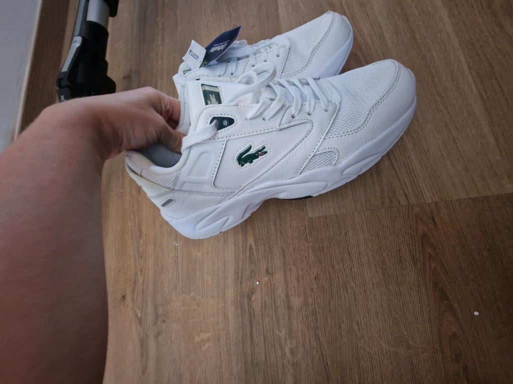 Basket lacoste neuves, Vêtements | Hommes, Enlèvement