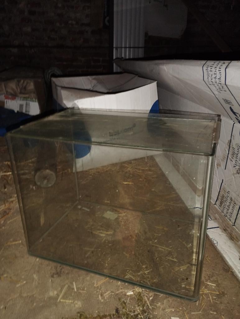 Aquarium, Dieren en Toebehoren, Ophalen, Gebruikt, Leeg aquarium