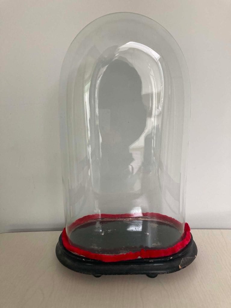Grote oude glazen stolp (43 op 22 cm), Ophalen, Gebruikt