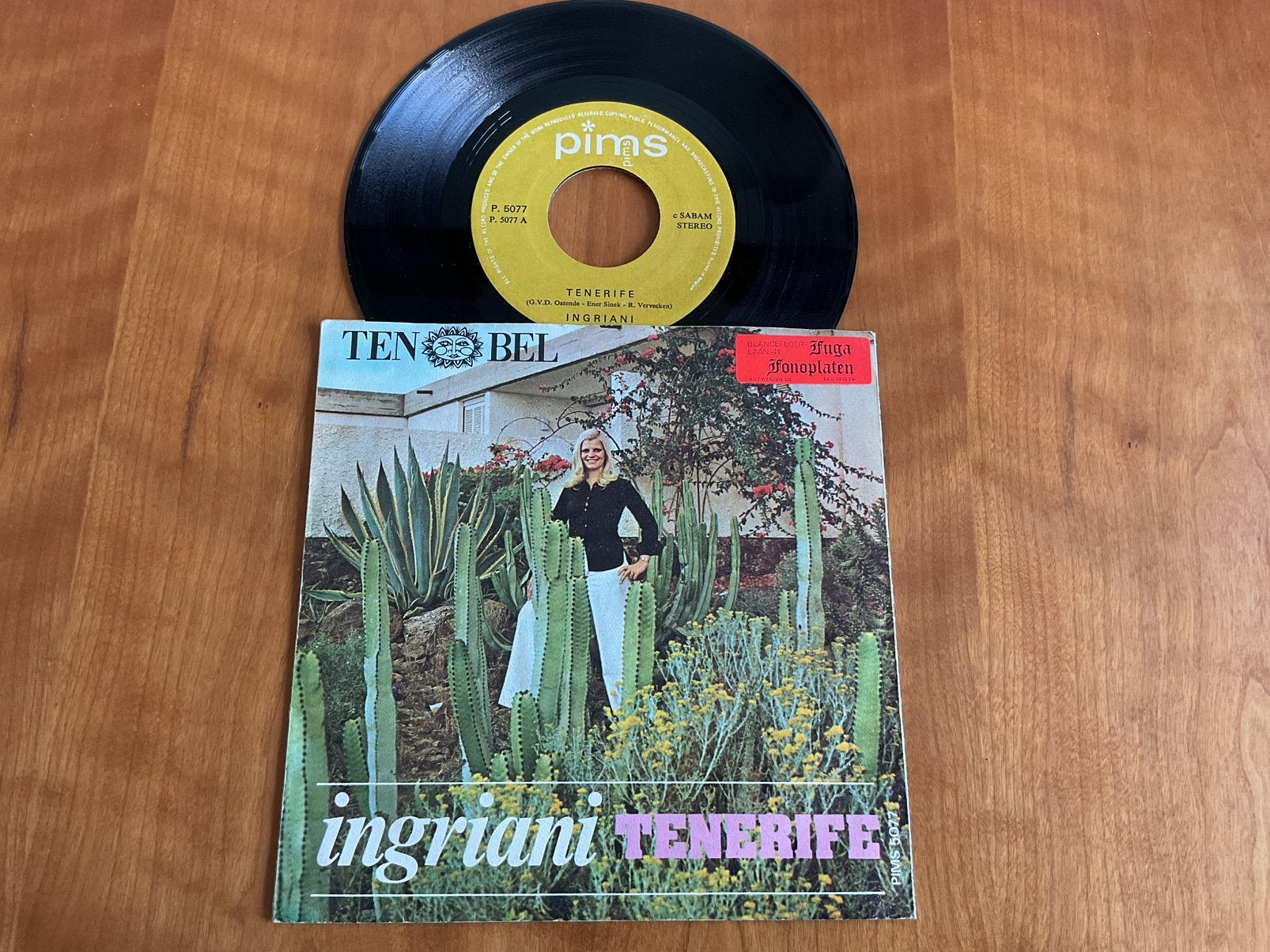 Ingriani - Tenerife., CD & DVD, Vinyles | Néerlandophone, Enlèvement ou Envoi, Utilisé