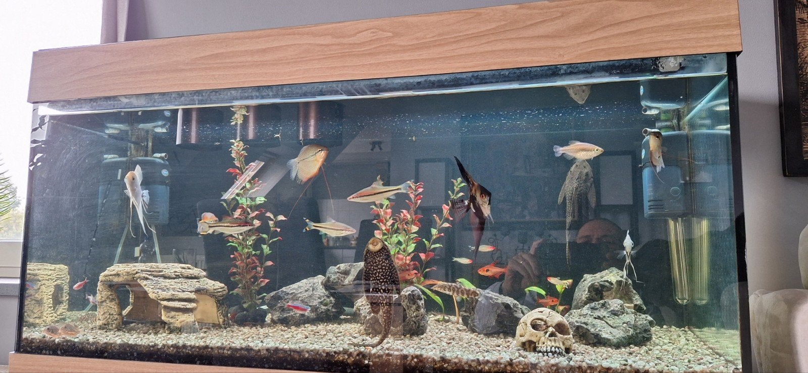 Compleet aquarium 180 liter, Ophalen, Inclusief planten, Zo goed als nieuw, Decoratie