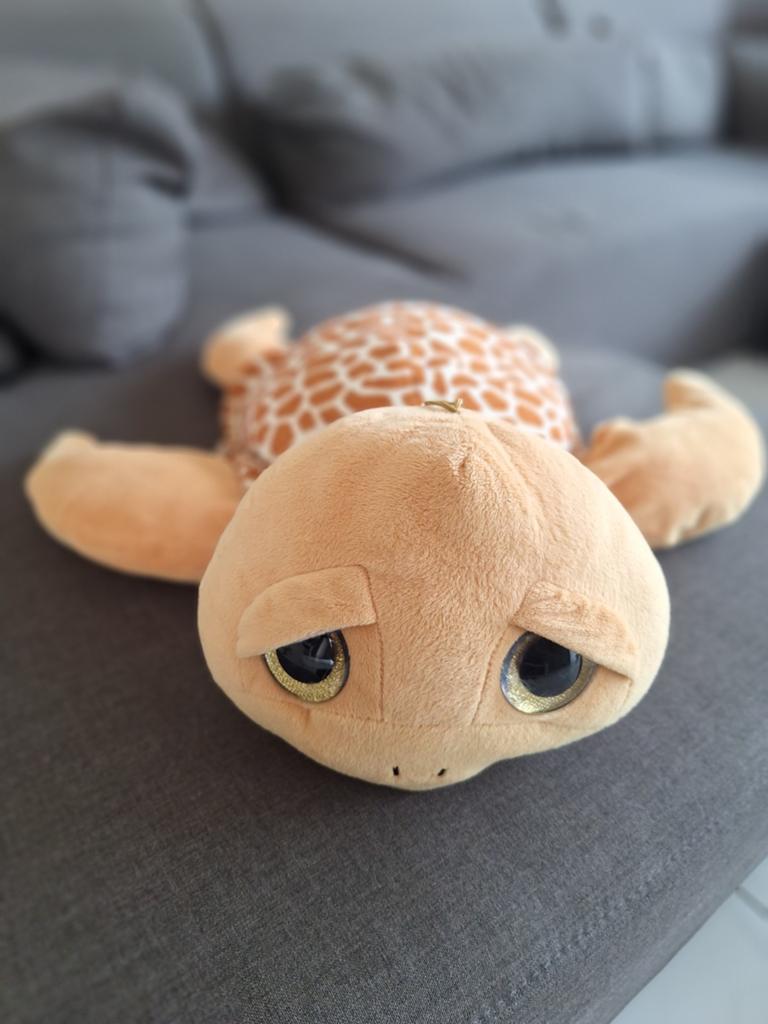 Knuffel schildpad, Ophalen