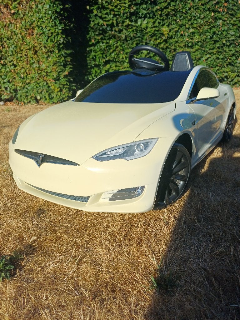 Radio Flyer Tesla model S, Ophalen, Gebruikt