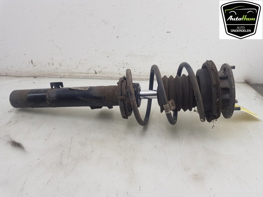 SCHOKBREKER LINKS VOOR Z4 Roadster (E89) (|31316796439|), Gebruikt, BMW, Petuelring 130
80809  München, DE, Bayerische Motoren Werke AG