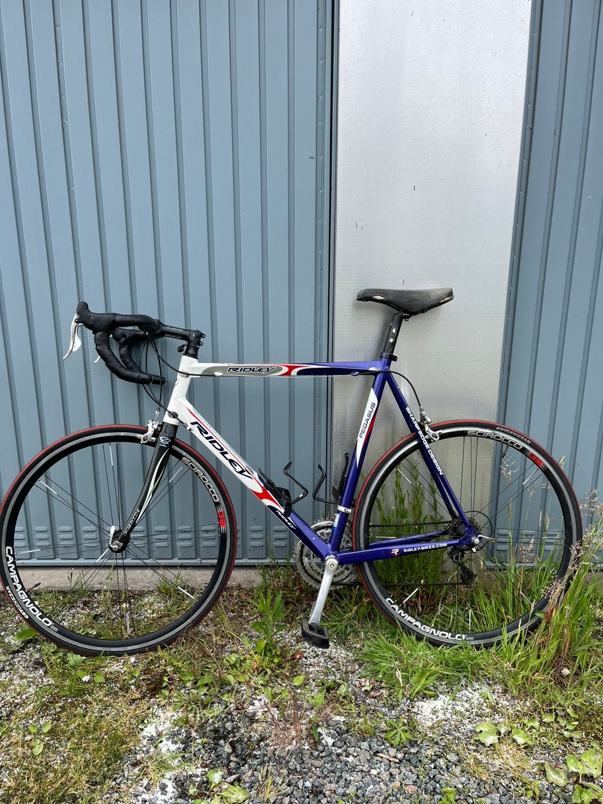 Ridley Pegasus - VASTE PRIJS, Fietsen en Brommers, Ophalen, Gebruikt, Heren