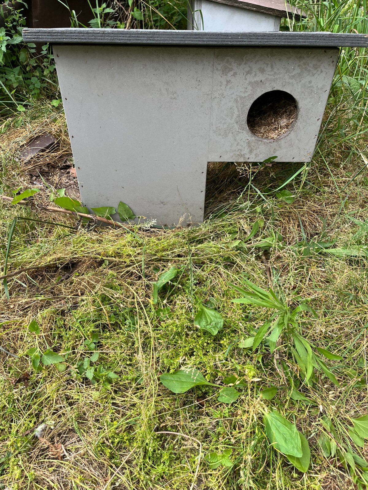 Nestkasten mandarijn eendjes 4 stuks, Dieren en Toebehoren, Ophalen, Gebruikt, Overige typen