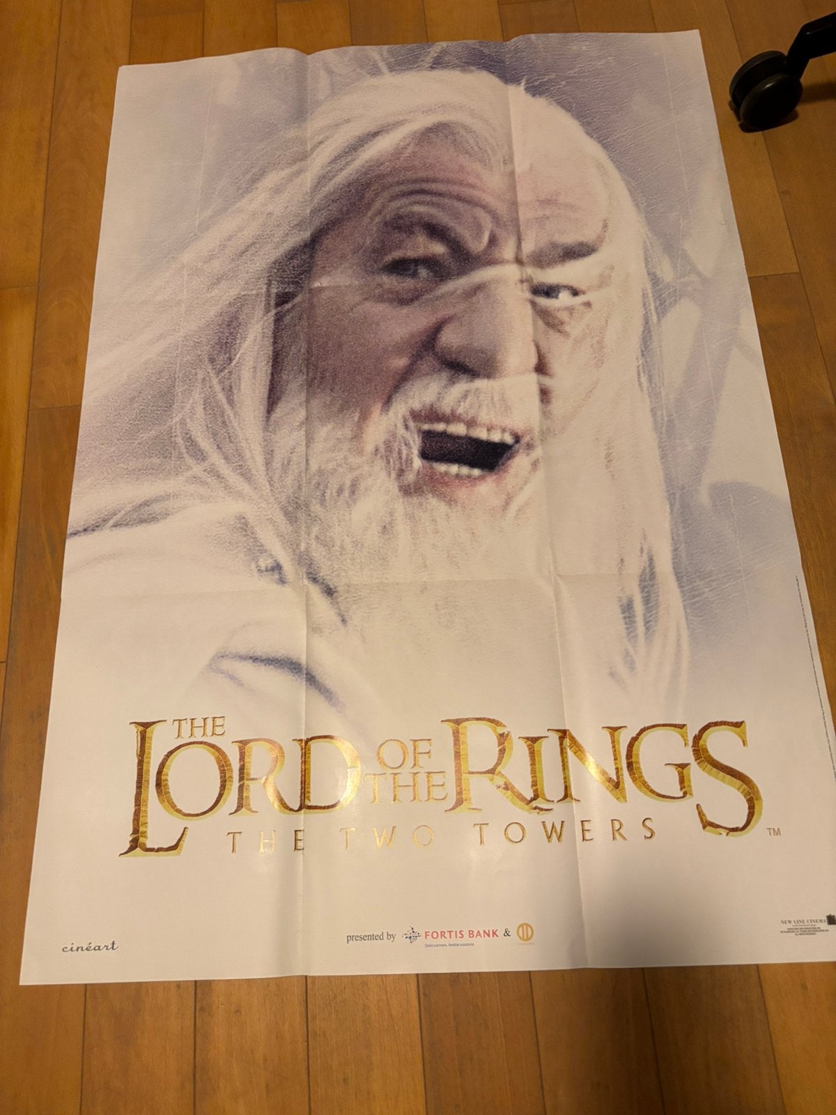 Poster The Lord of the Rings, Ophalen of Verzenden, Zo goed als nieuw