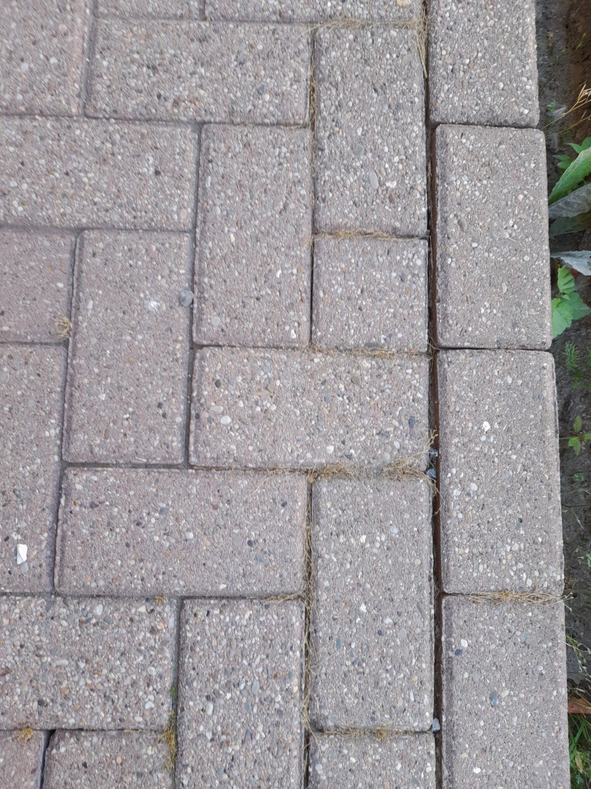 gratis rode/roze klinkers, Tuin en Terras, Ophalen, Roze