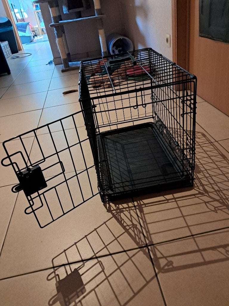 CAGE POUR CHIEN, Animaux & Accessoires, Enlèvement, Comme neuf