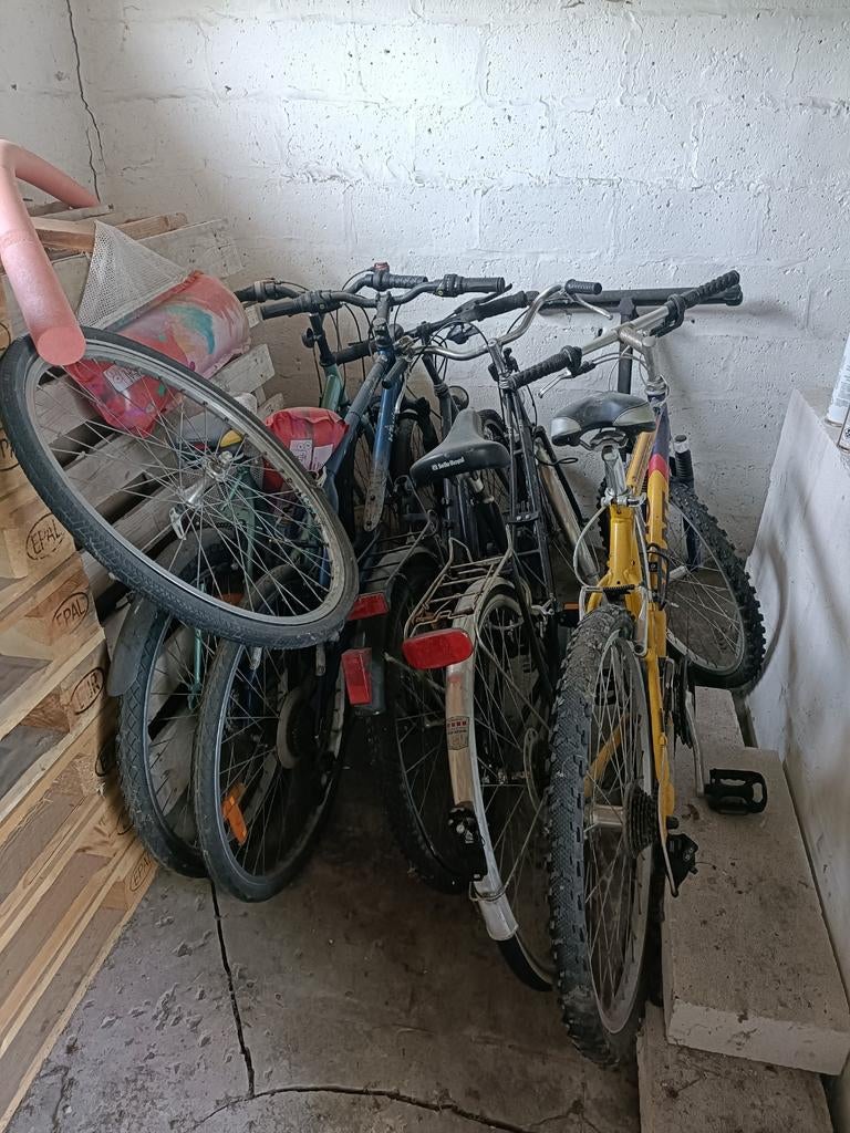 Lot de vélos, Enlèvement
