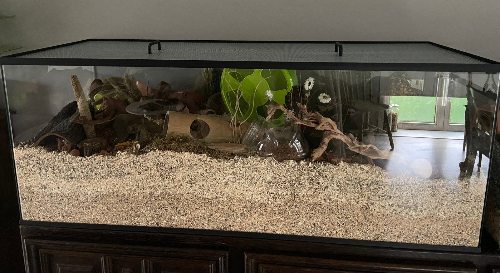 Glazen verblijf voor knaagdier, Dieren en Toebehoren, 110 cm of meer, Zo goed als nieuw, Hamster, Ophalen
