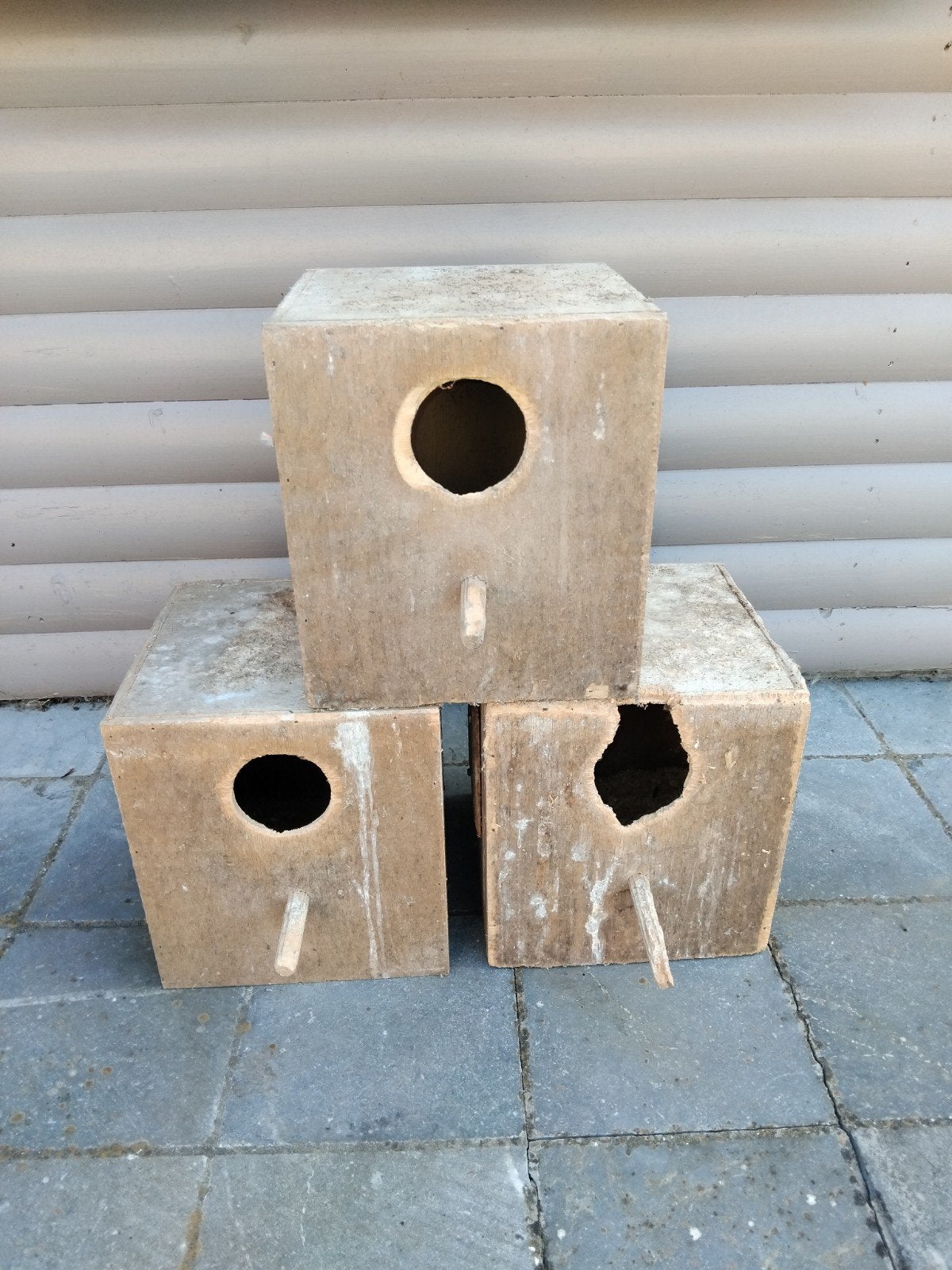 Broedblokken kakariki, Dieren en Toebehoren, Ophalen