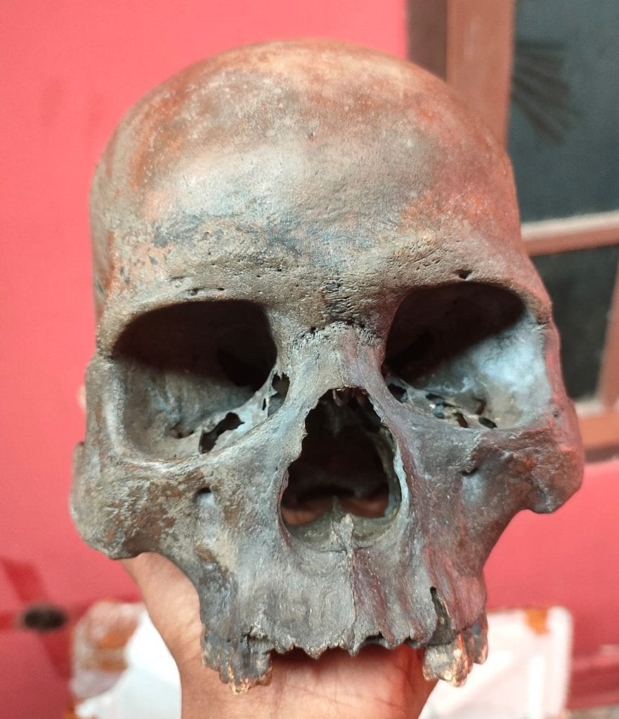 Homo sapiens, Enlèvement ou Envoi, Fossile