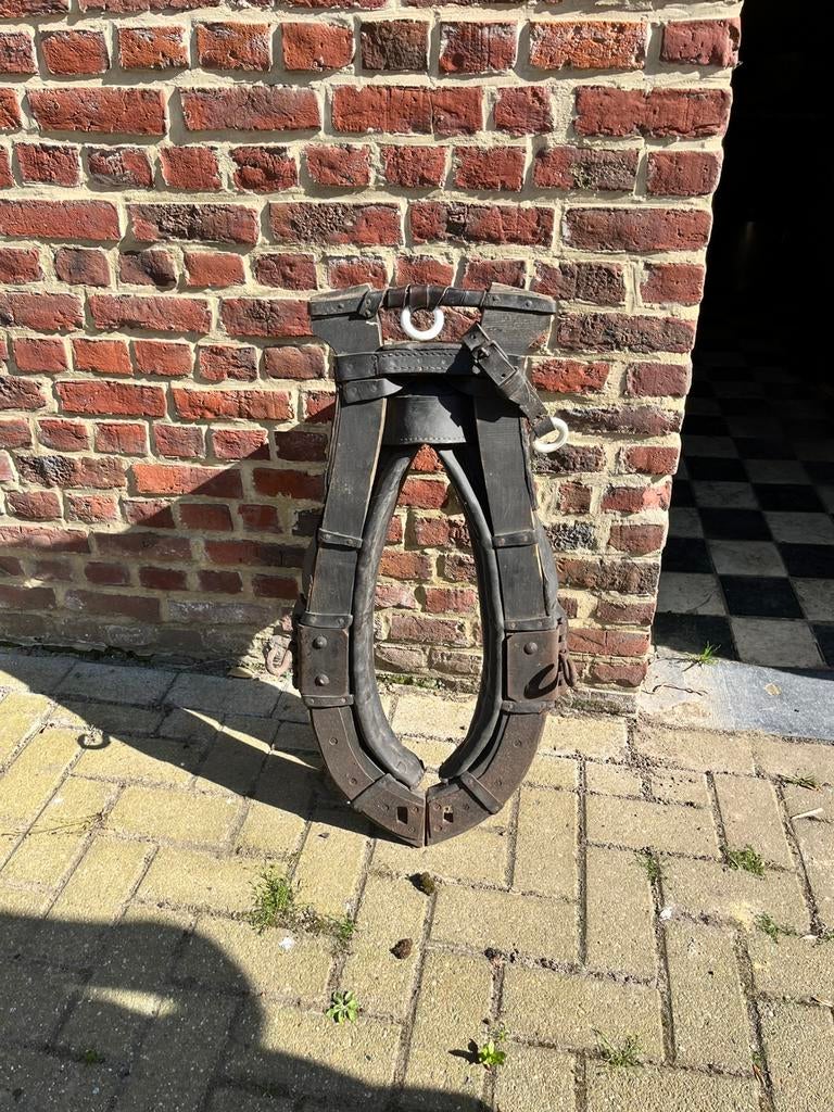 Paardentuig, Dieren en Toebehoren, Ophalen, Gebruikt